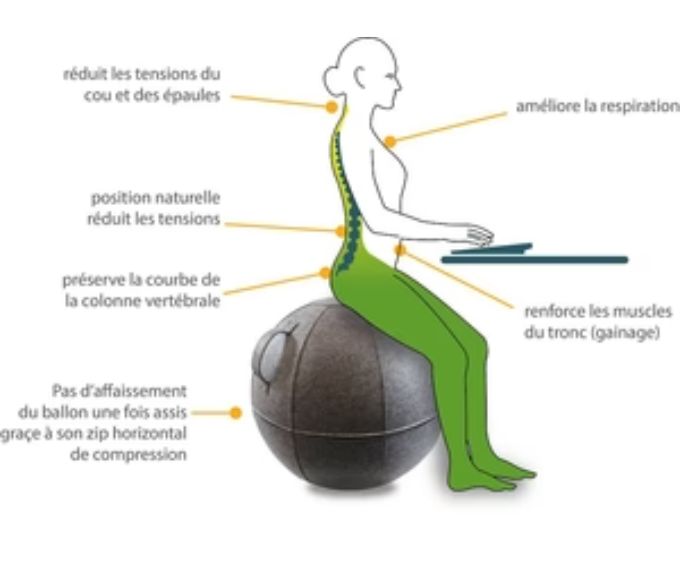ballon-ergonomique-assise-dynamique-ergo-sphere-65cm-argumentaires