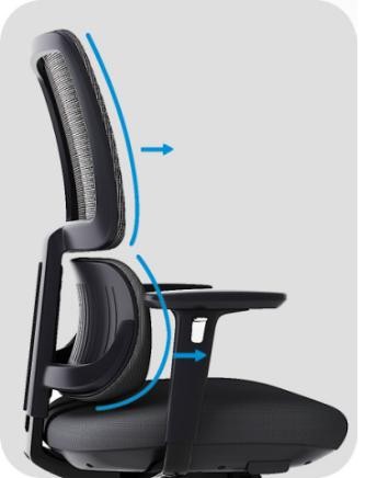 fauteuil-de-bureau-ergonomique-orca-avec-soutien-lombaire