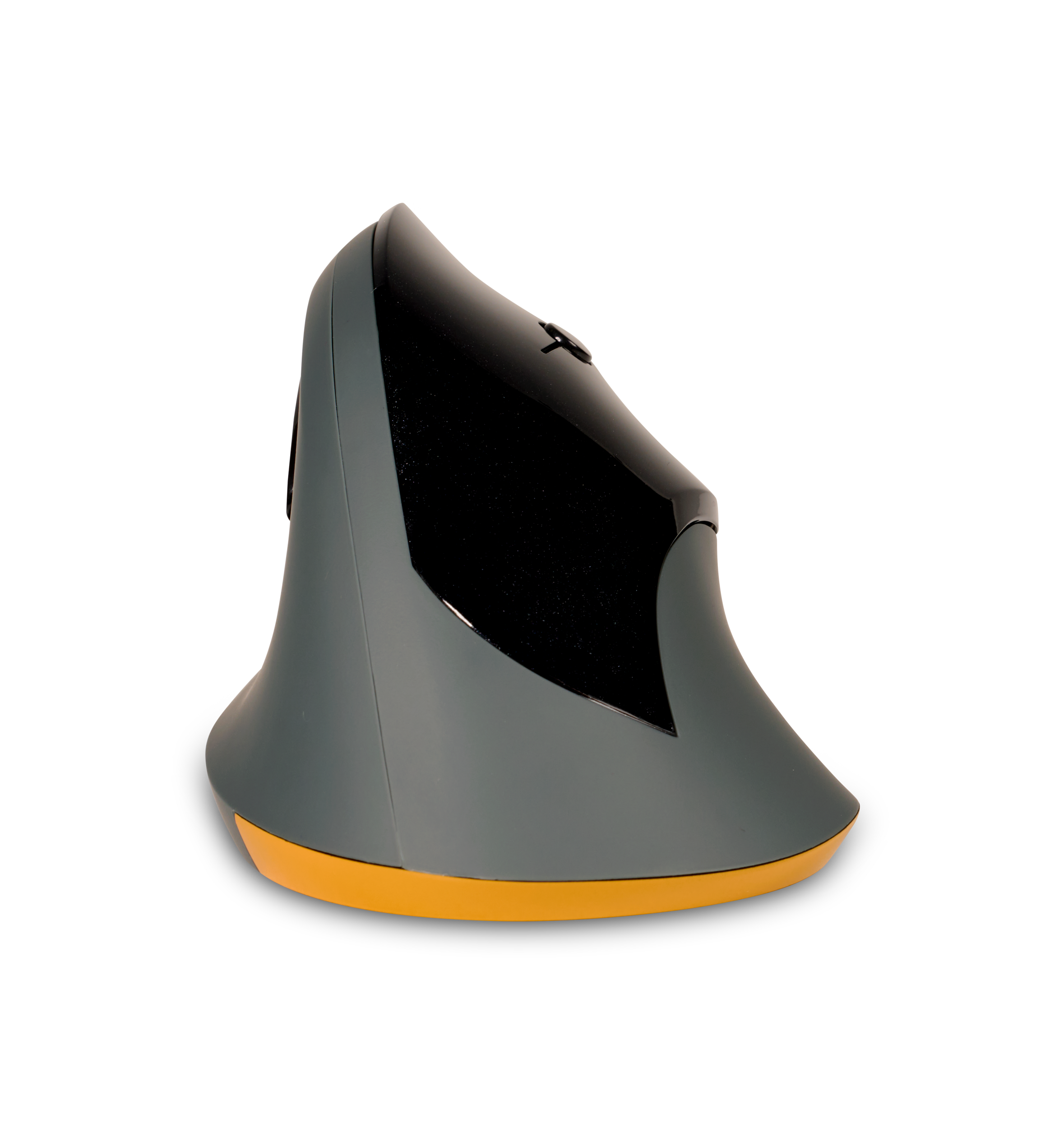 PRF mouse vu de dos