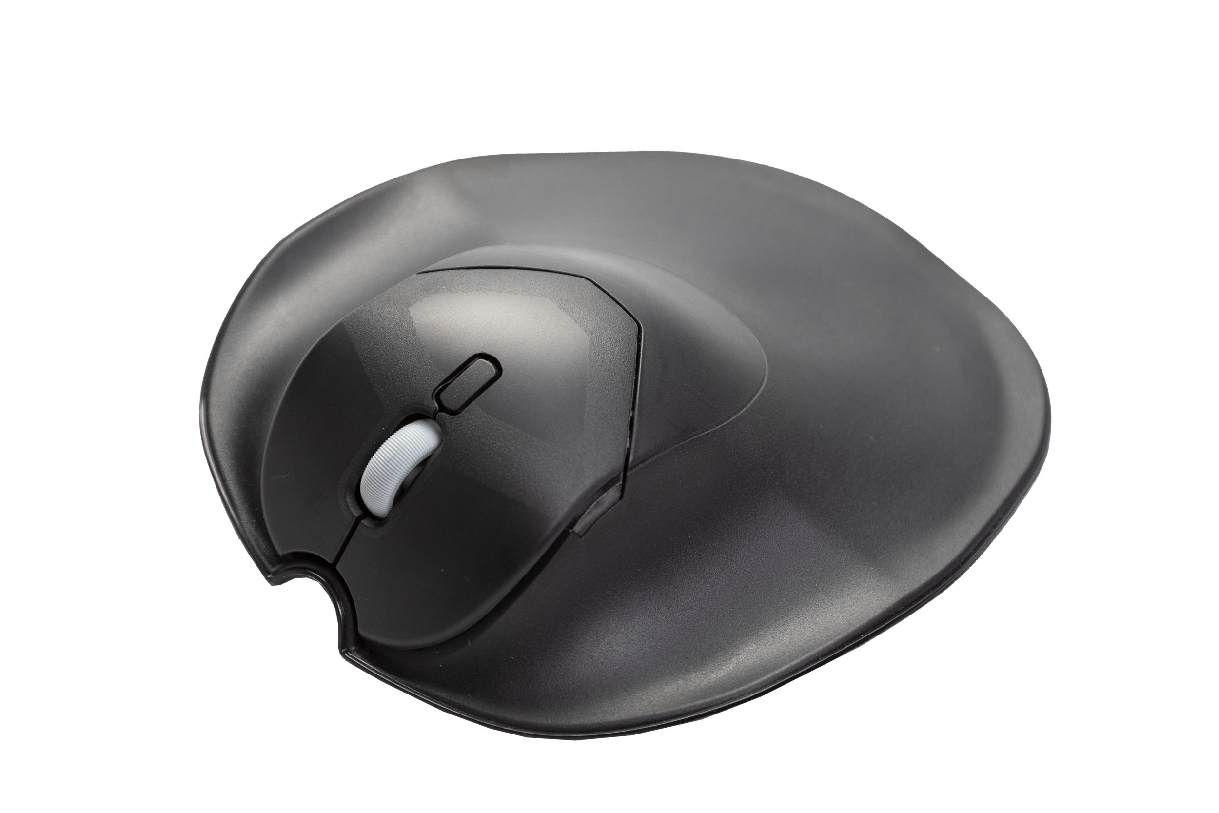 BNEPS_HandShoeMouseShift_BakkerElkhuizen_P19