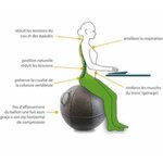 ballon-ergonomique-assise-dynamique-ergo-sphere-65cm-argumentaires