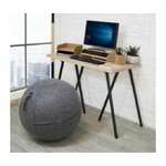 ballon-ergonomique-assise-dynamique-ergo-sphere-65cm-en-situation
