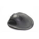 BNEPS_HandShoeMouseShift_BakkerElkhuizen_P01