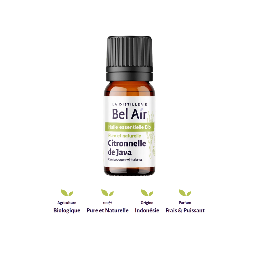Citronnelle de Java