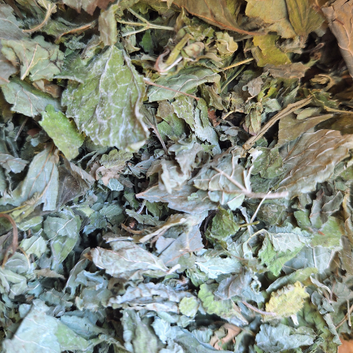 Mélisse officinale sèche