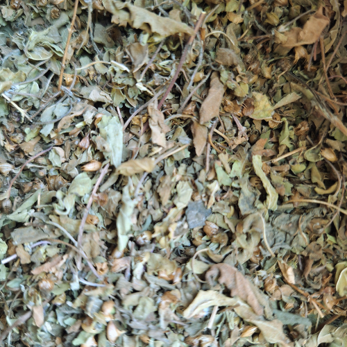 Basilic Tulsi sec