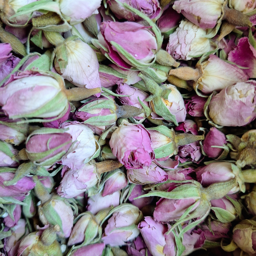 Boutons de rose sec