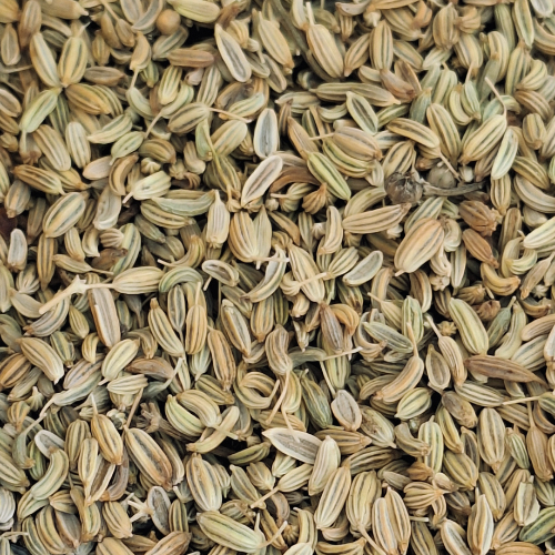 Fenouil graine sec