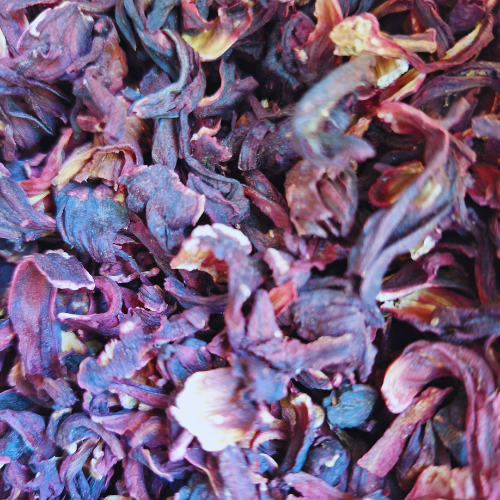 Hibiscus sec