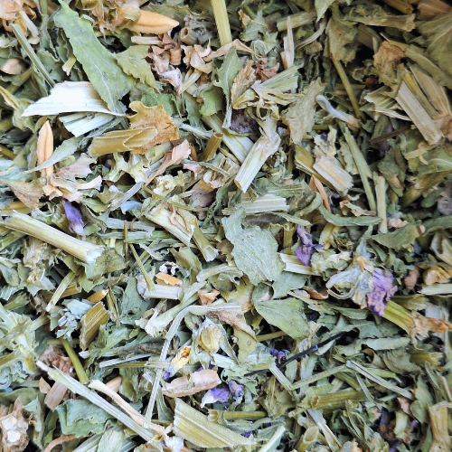 Pensée sauvage sèche