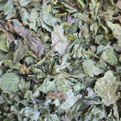 Menthe poivrée