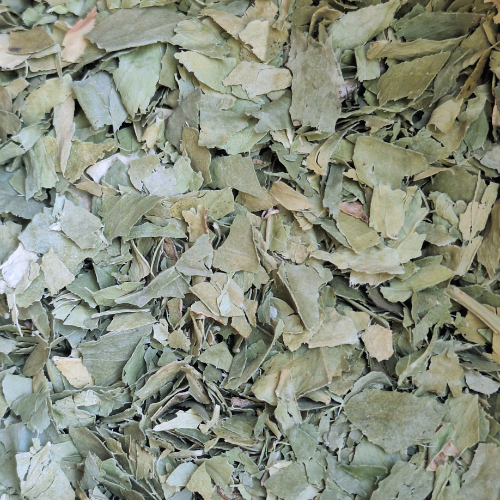 Bigaradier