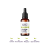 calophylle