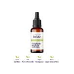 calophylle