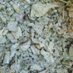 Bouillon Blanc