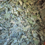 Ortie Bio 50g - La Super-Plante Reminéralisante Méconnue