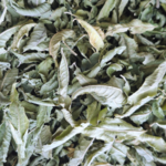 Verveine