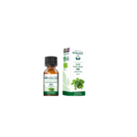 Huile essentielle de Ravintsara bio - Laboratoire Maloé