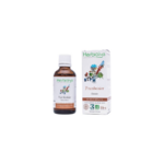 Bourgeon Framboisiser bio
