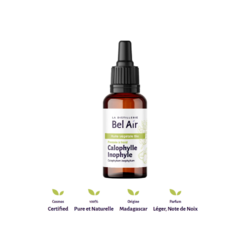 calophylle
