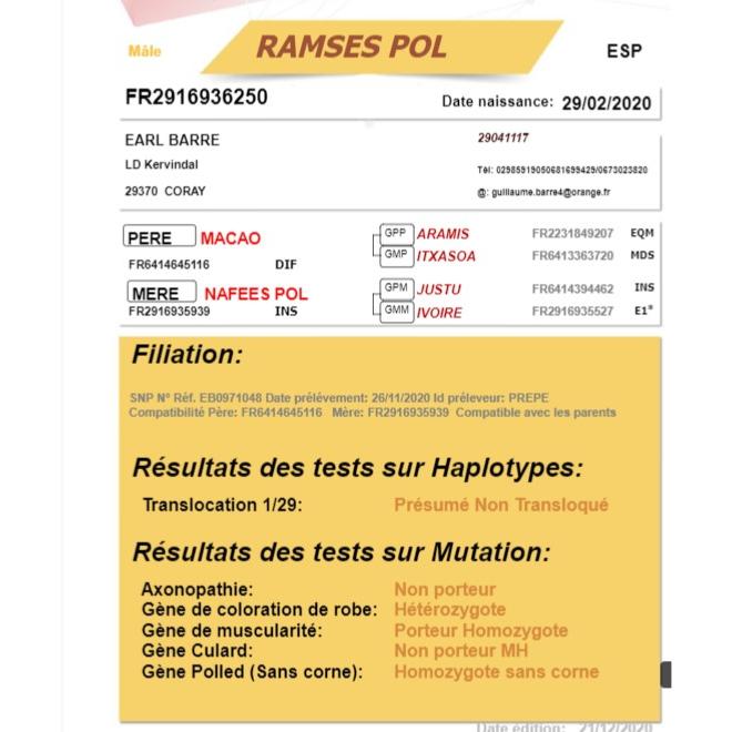 ramses-pol-zoom