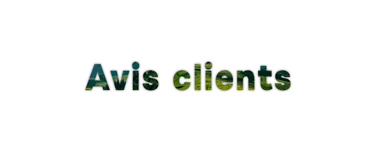 avis