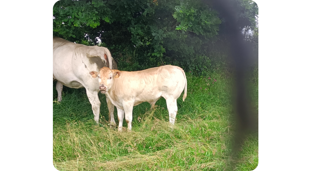 profitez du retrait gratuit a la ferme