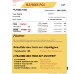 ramses-pol-zoom