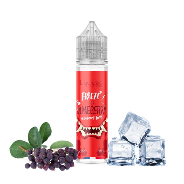 FREEZE ICE JUNBERRY ZHC - ZHC/FRUIT ZHC