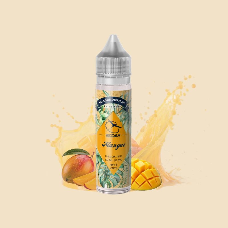 elfbar nachfüll pod läuft aus All Day Vapor Nic Salt Vape Juice main image 1