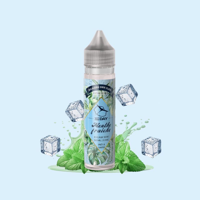 NDI - ALL DAYS - Menthe fraiche