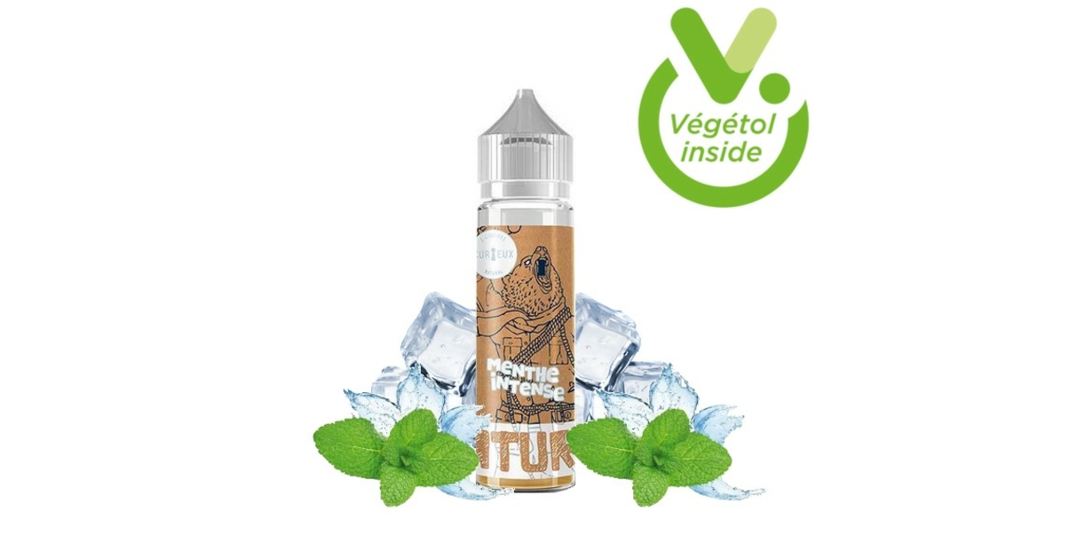 MENTHE INTENSE ZHC - ZHC/FRAIS ZHC - cazavape