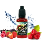 AROMES ET LIQUIDE CONCENTRÉ Valkyrie