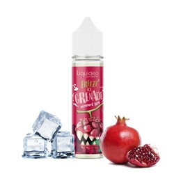 FREEZE ICE DMON - E-LIQUIDE/FRUIT - cazavape