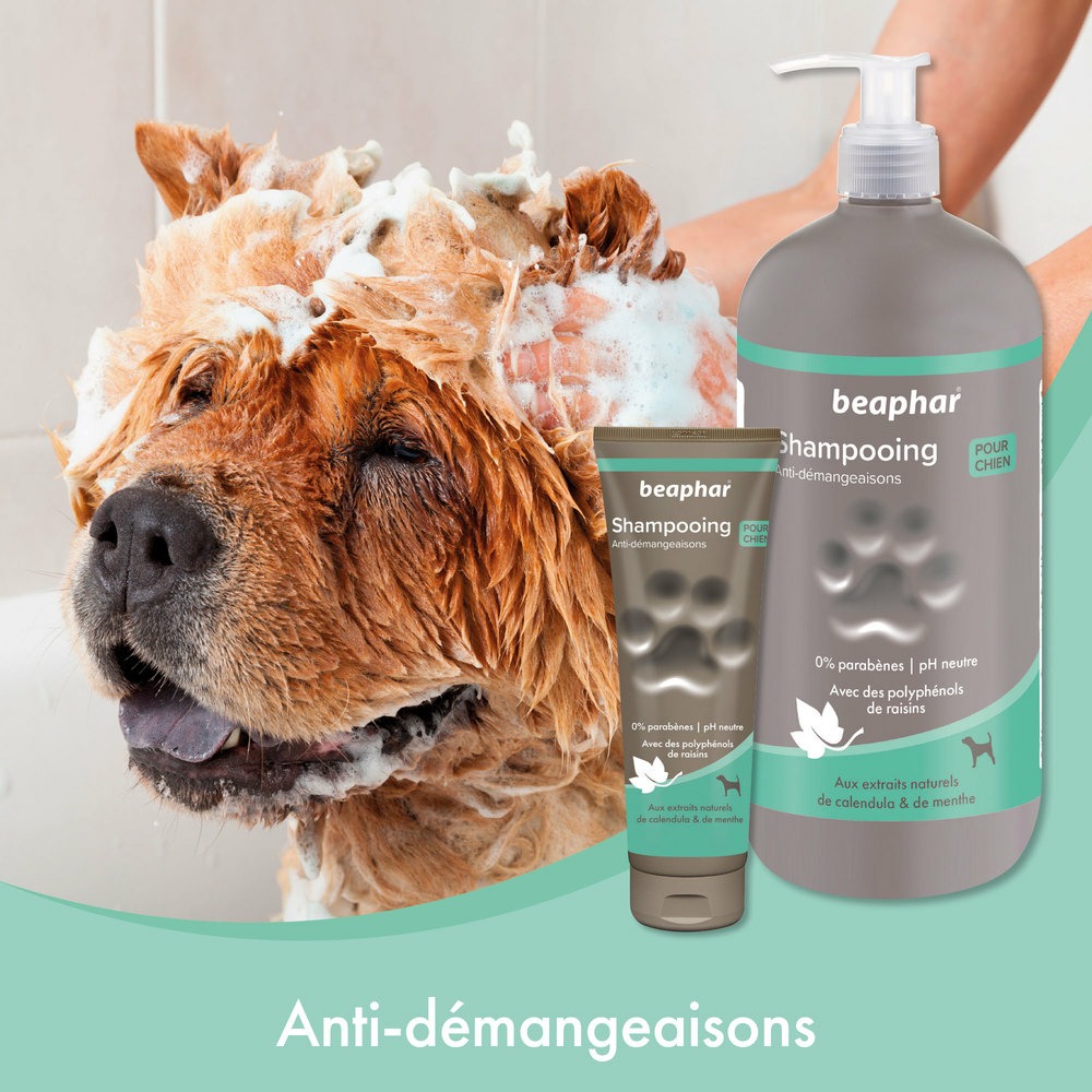 imgi_15_15018_Ecommerce_Premium-Shampoo-Chien_FR_2023-4