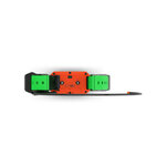 collier-de-reperage-et-d-education-canine-tt25-garmin (1)