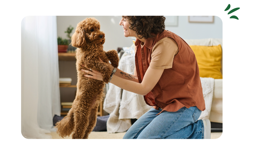 maquette chien maitre