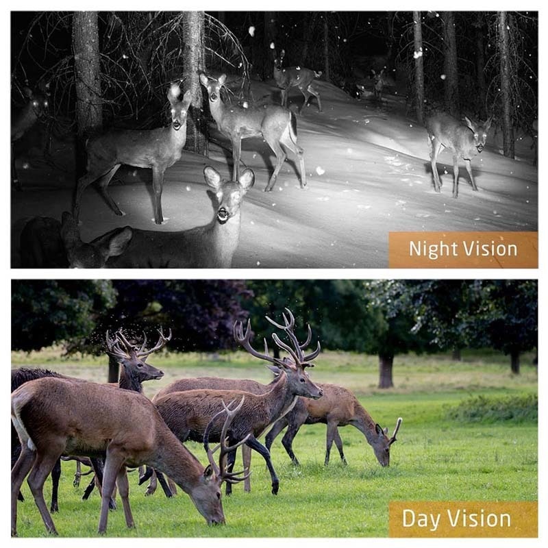 Skatolly-HC300M-cam-ra-de-Chasse-GSM-12MP-1080P-Photo-pi-ges-Vision-nocturne-faune-infrarouge
