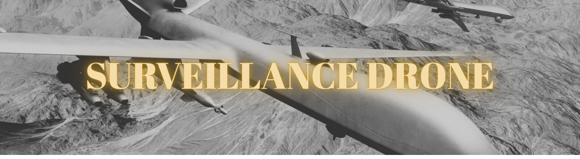 Surveillance Drone