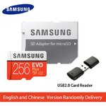 256 GB Samsung EVO Plus microSD card with SD and USB adapters