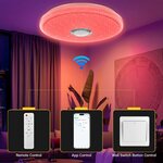 Ceiling light control through the app or wall switch