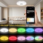 Adjusting the ceiling light RGB colours through the app