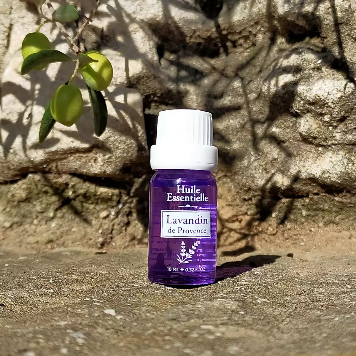 huile-essentielle-de-lavandin---compte-goutte-10-ml-photo-principale-1