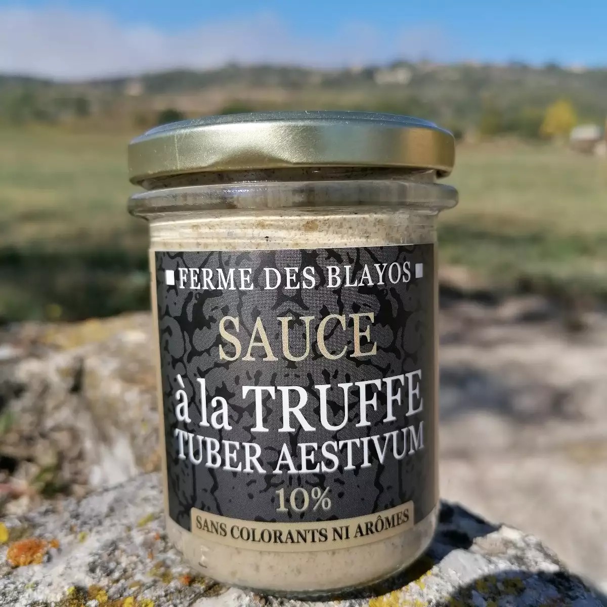 sauce-à-la-truffe-tuber-aestivum-10-photo-principale-3