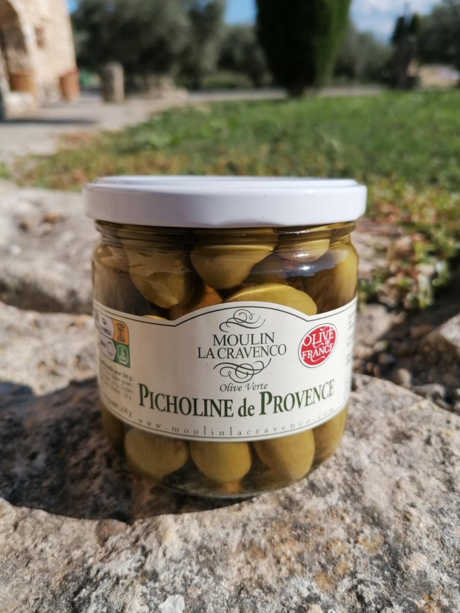 Picholine