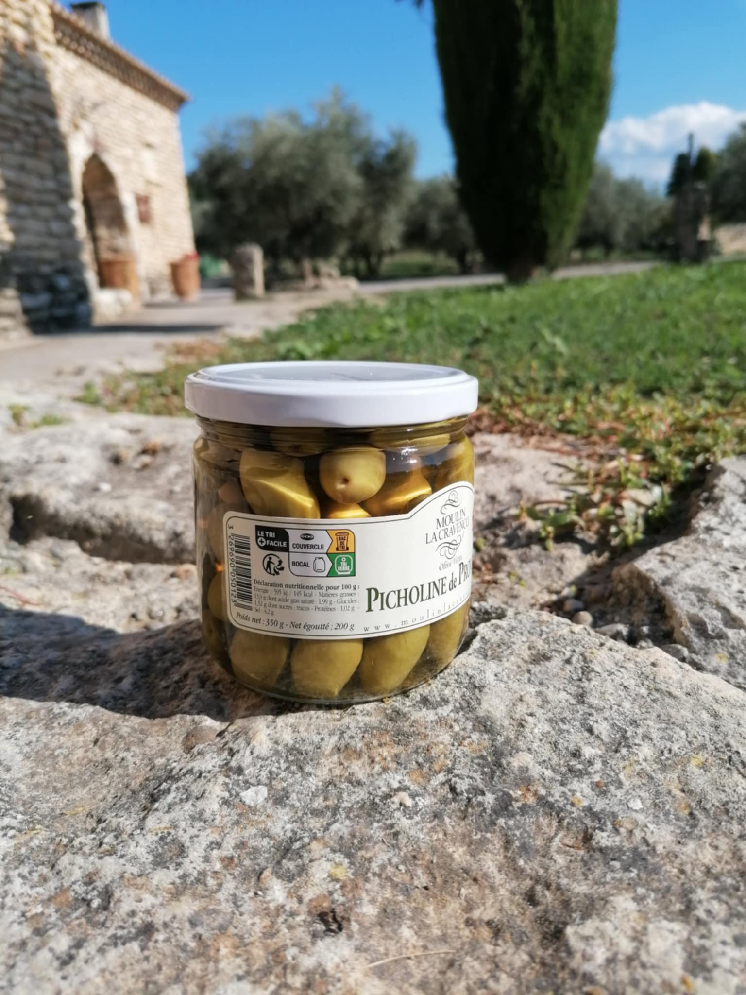 Picholine 2