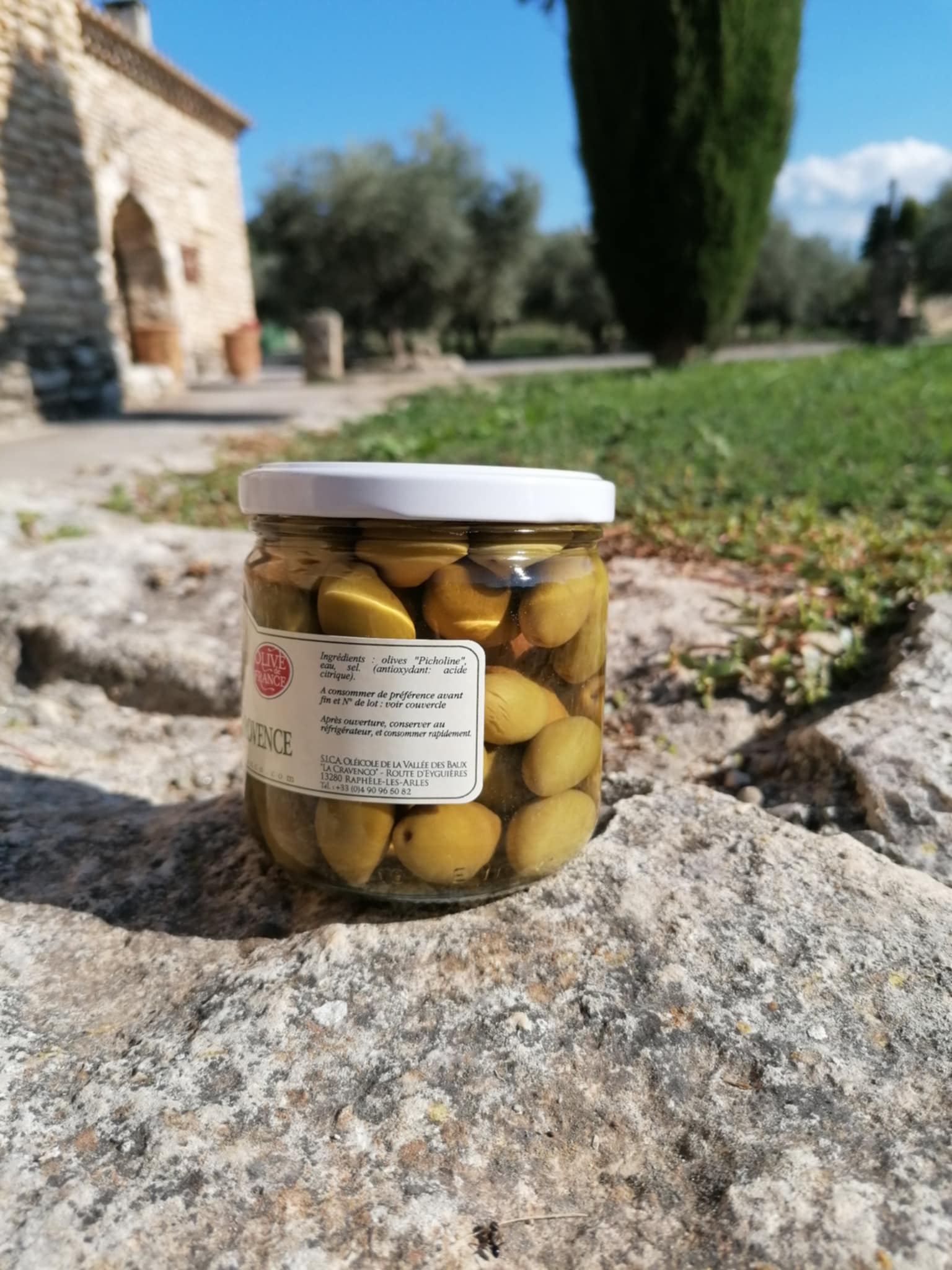 Picholine 3