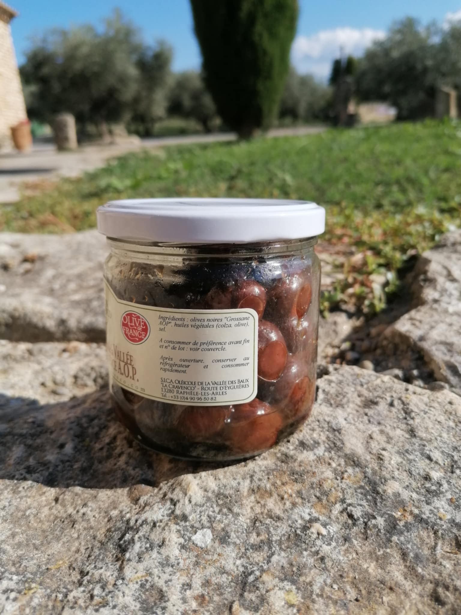 Olives Noires VDB 3