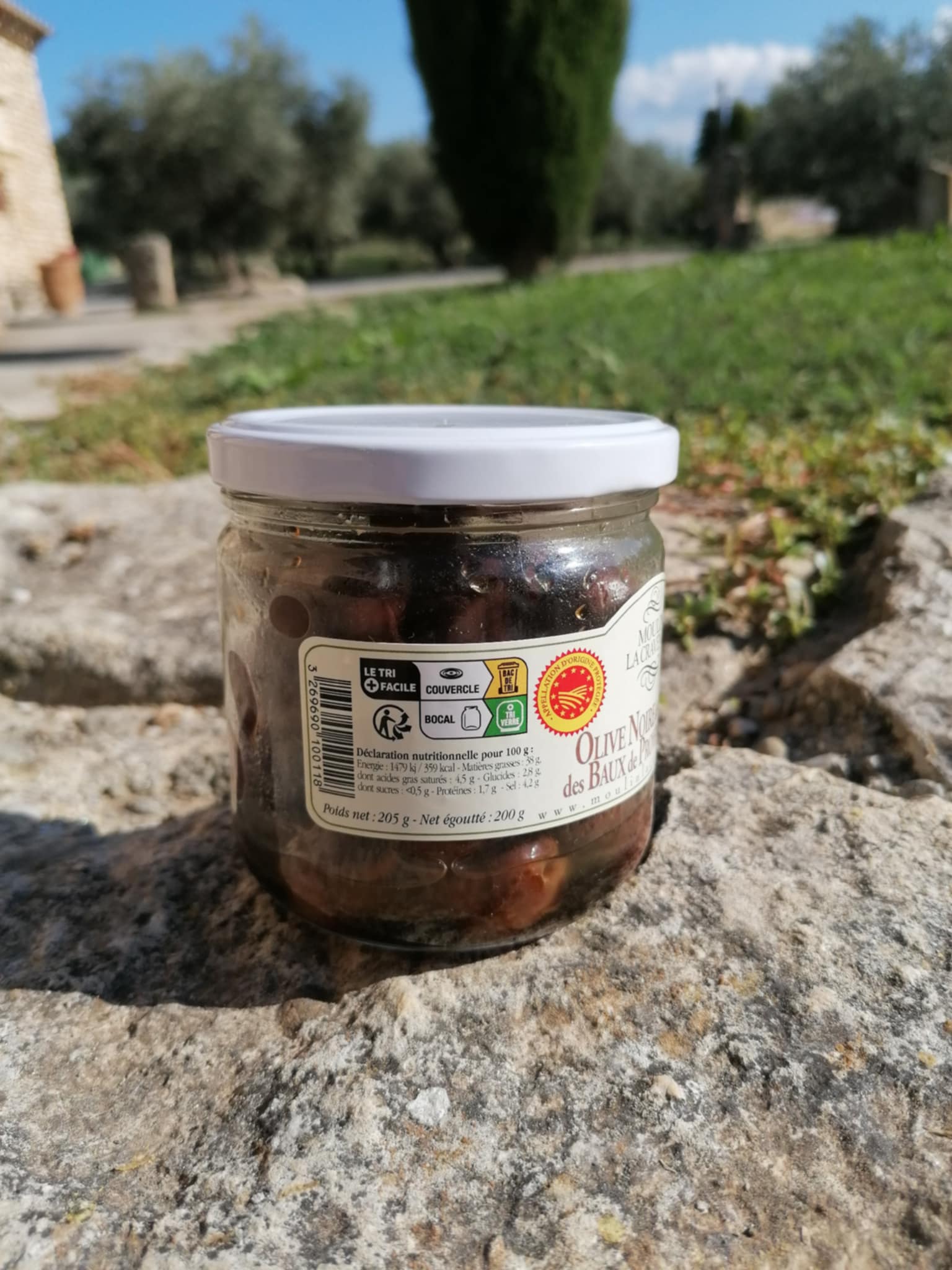 Olives Noires VDB 2
