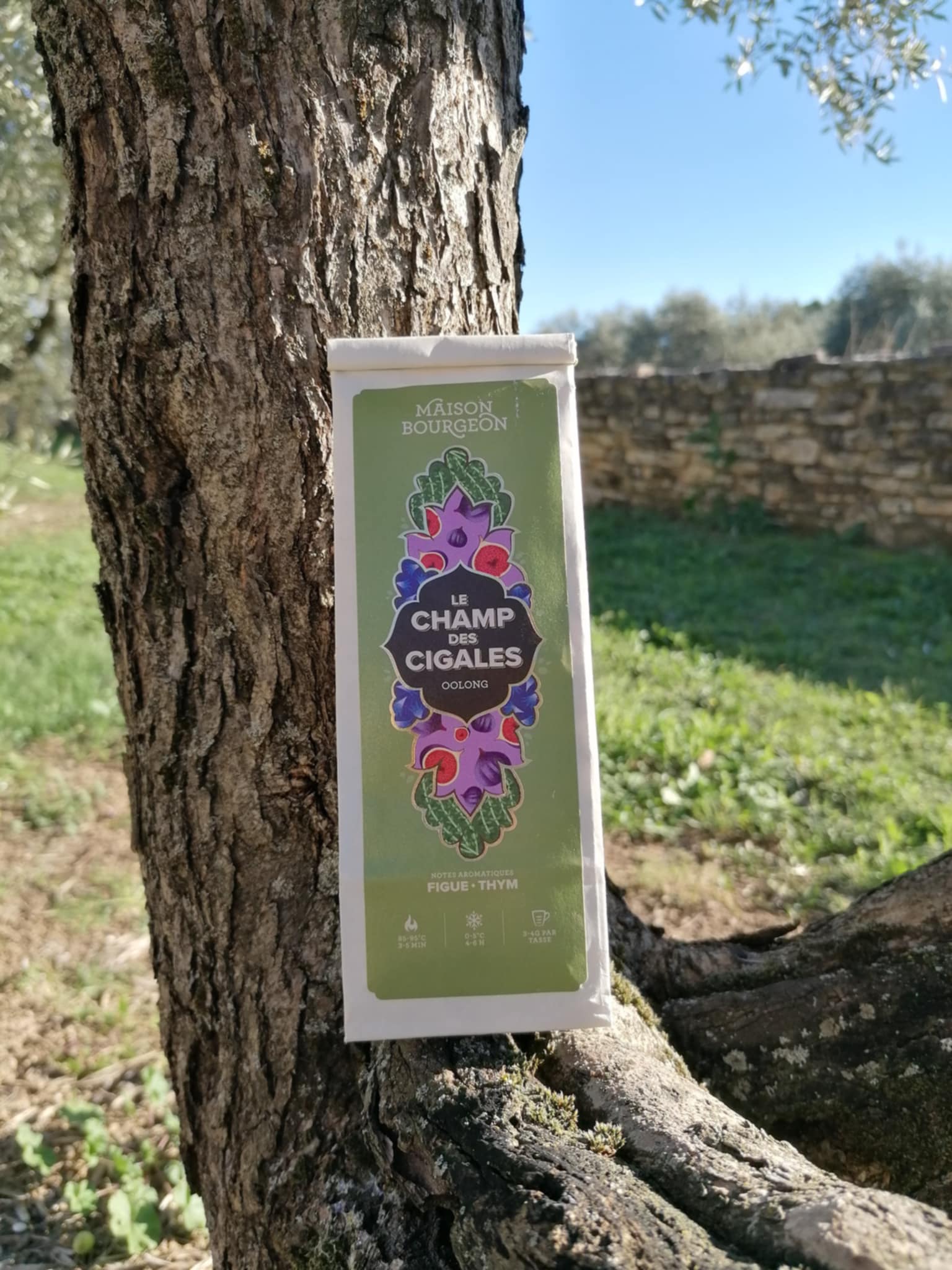 Le champ des cigales - bourgeon